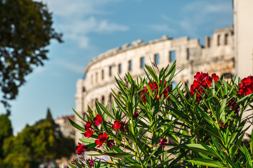 Amphietheater Pula