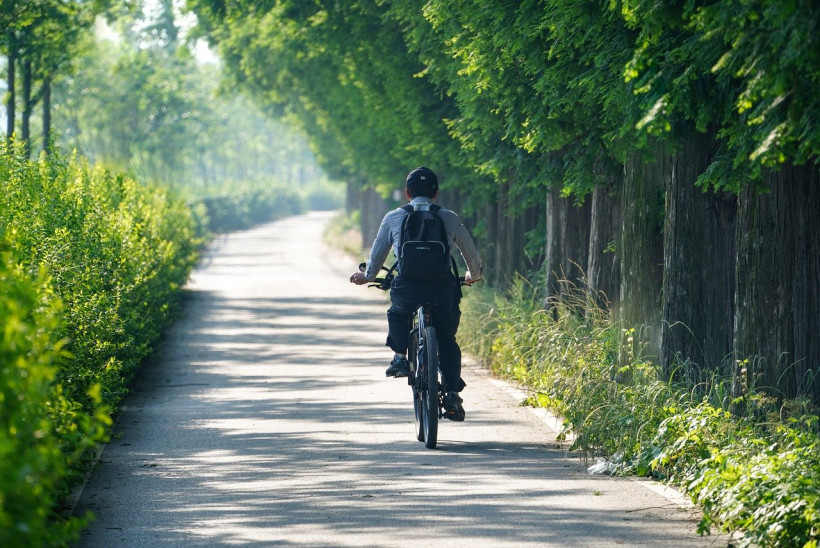 Radfahrer Istrien