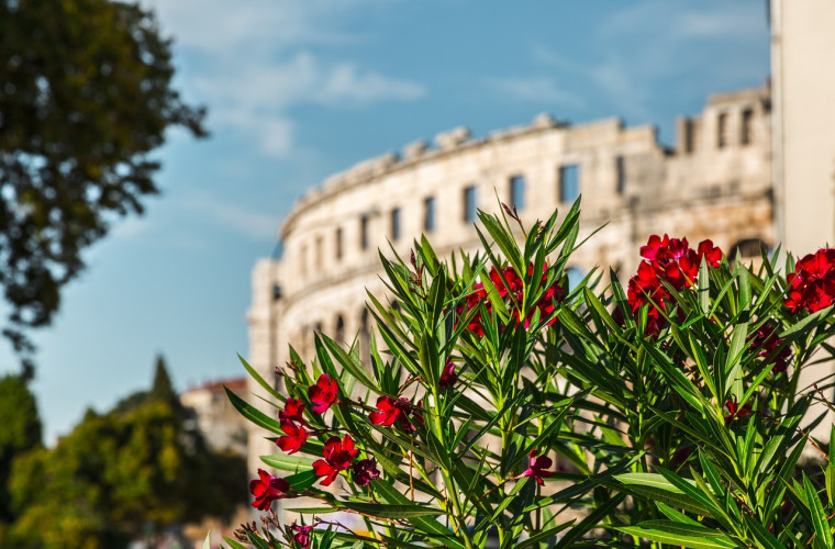 Amphietheater Pula